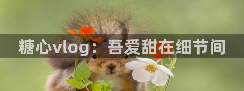 糖心vlog怎么下:糖心vlog:吾爱甜在细节间