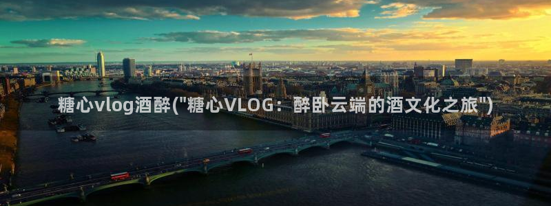 糖心vlog破解会员:糖心vlog酒醉(\