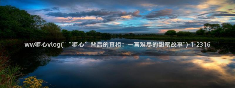 心糖vlog欲梦:ww糖心vlog(\