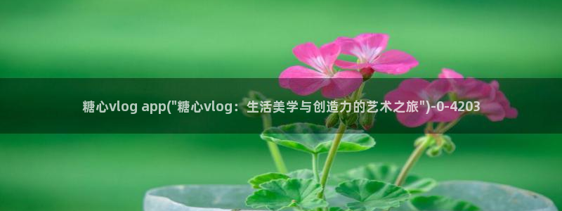 糖心vlog苹果破解：糖心vlog ap