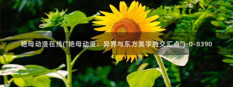 香蕉动漫：艳母动漫在线(\